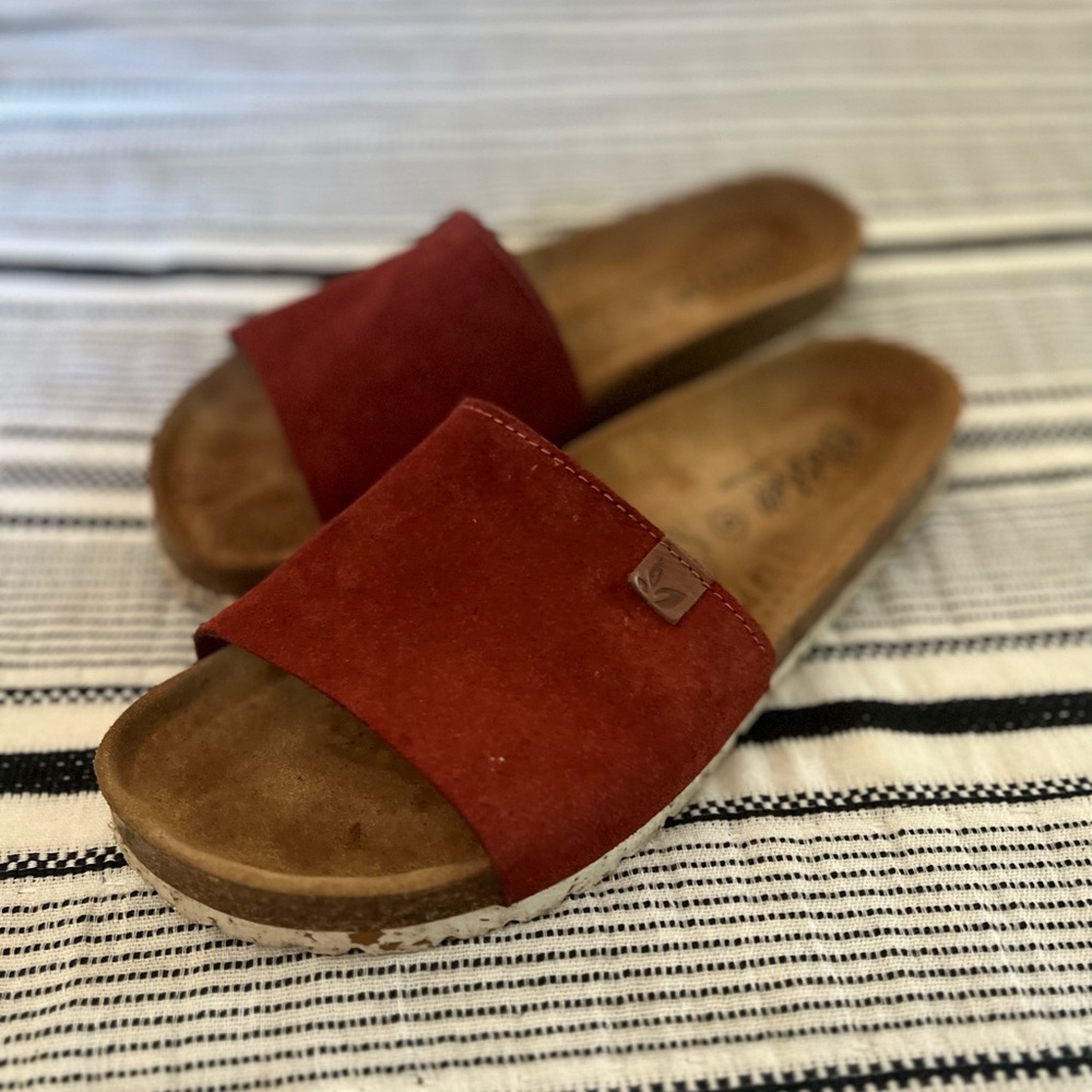 BioStep slides
